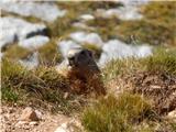 Rifugio Ra Stua - Remeda Rossa / Rote Wand